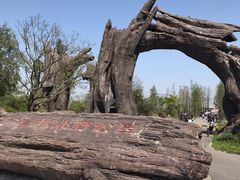 -广富林郊野公园