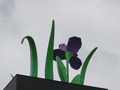 -深圳湾万象城(南山店)