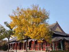 -天津妈祖文化园