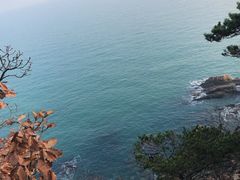 -棒棰岛宾馆景区