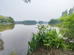 -翠湖国家城市湿地公园