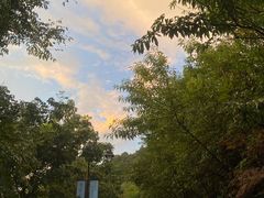 -杭州半山国家森林公园