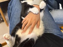 -平行世界·猫咖(首经贸店)