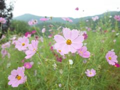 -潭柘厚院(桑峪村店)
