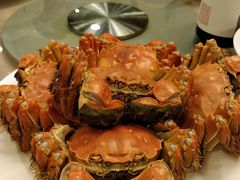 清蒸大闸蟹-王宝和酒家(黄浦店)