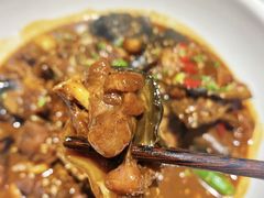 -甲鱼张甲鱼铺子(观沙岭店)