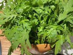 -芸山季·云南野生菌火锅(南翔印象城MEGA店)