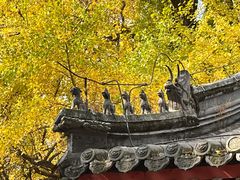 -潭柘寺景区