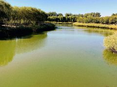 -大兴滨河森林公园