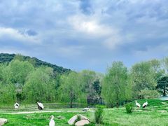 -沈阳森林动物园