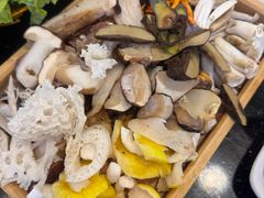 -草墩罗非鱼庄•野生菌•腊排骨(七星街上段店)