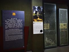 -亳州博物馆