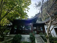 -十八棵（老龙井）御茶园(老龙井店)