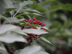 -辽宁大学(崇山校区)