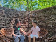 -黄海国家森林公园