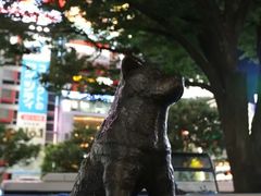-涩谷区