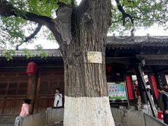 -胡氏古民居建筑