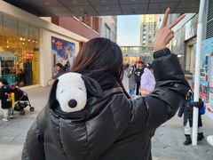 -中粮·祥云小镇
