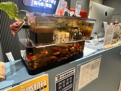 -海马体照相馆(上海月星环球港店)