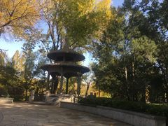 -玲珑塔公园