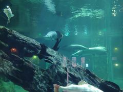 -华夏文旅海洋公园