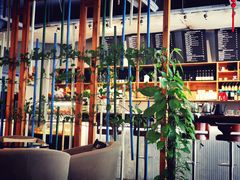 -LEO CAFE