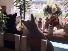 -Kitchen·Y洋厨房西餐厅(王府壹号店)