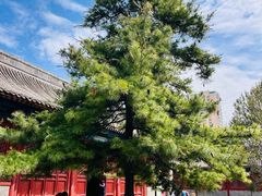 -大钟寺古钟博物馆