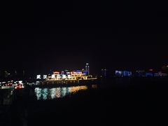 -武汉两江游览·夜游长江(汉口粤汉码头)