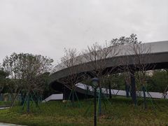 -映月湖公园