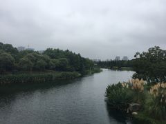 -尚贤河湿地