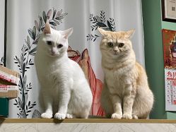 -齐伽生活馆·瑜伽·普拉提·阿育吠陀