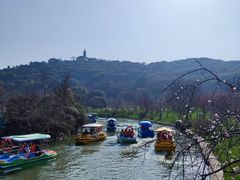 -苏州上方山国家森林公园