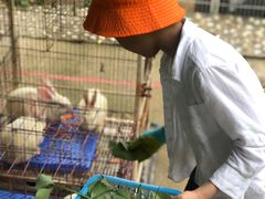 -上海佘山世茂艾美酒店