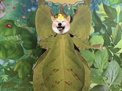 -上海昆虫博物馆