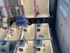 -lincat·猫舍(广州店)