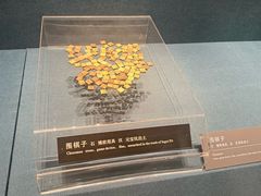 -亳州博物馆