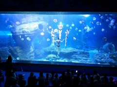 -多彩贵州城极地海洋世界