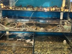 -仙螺岛海鲜自助餐厅(总店)