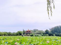 -青城公园