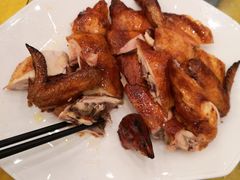 -鸿达渔港