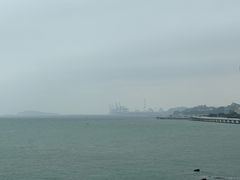 -八婆婆烧仙草(中山路店)