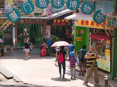 -猫咪博物馆(顶澳仔猫街店)