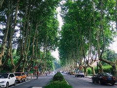 -浙江大学(玉泉校区)