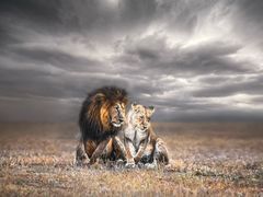 -罗红摄影艺术馆