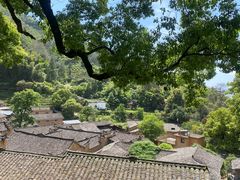 -杨家堂村