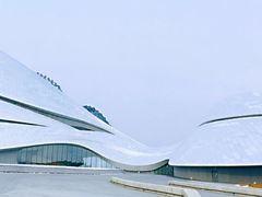 -哈尔滨大剧院