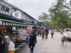-奈良公园