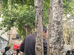 -又见炊烟私房菜(敬亭路店)