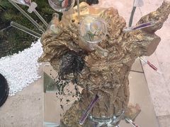 -武汉光谷K11